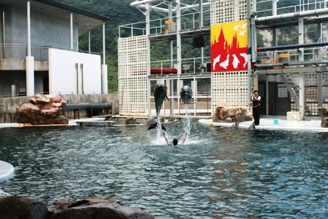 d0052770_17341379.jpg