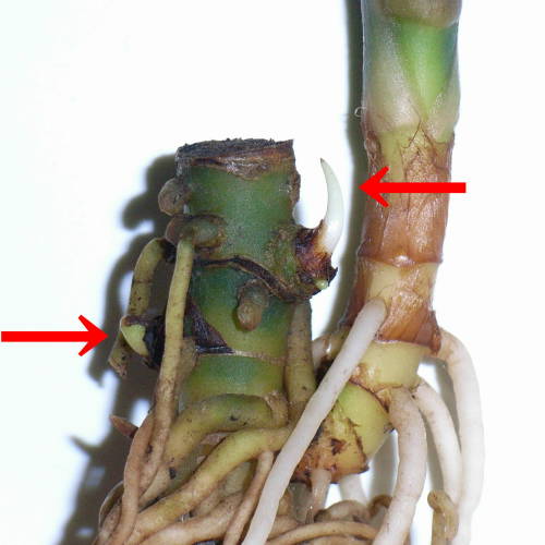 d0249970_232821.jpg