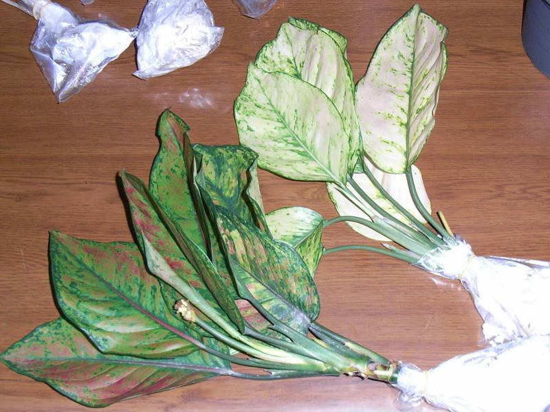 d0249970_242820.jpg