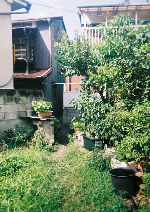 e0164571_1551624.jpg