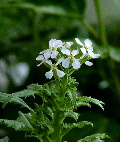 d0084473_21193047.jpg