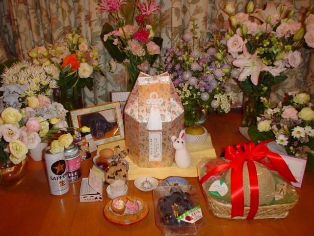 e0207477_057915.jpg