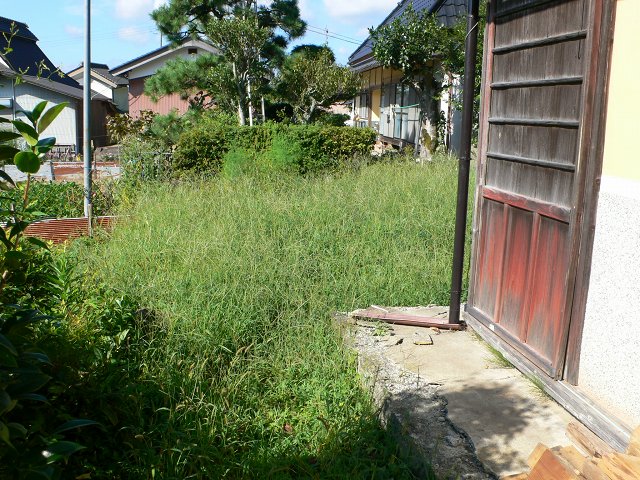 b0042882_1442742.jpg