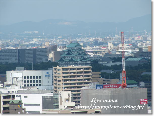 b0136683_739947.jpg