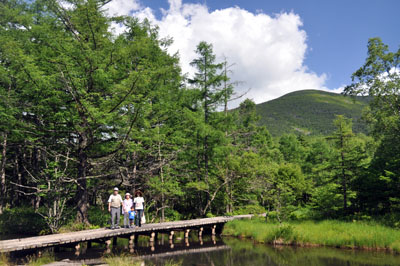 b0061588_759470.jpg