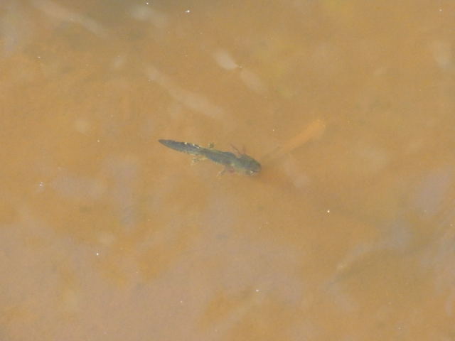 b0147093_21495623.jpg