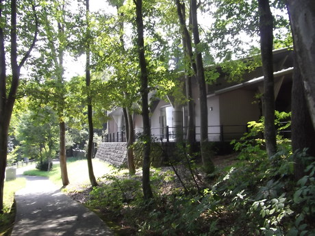 a0203003_1938834.jpg