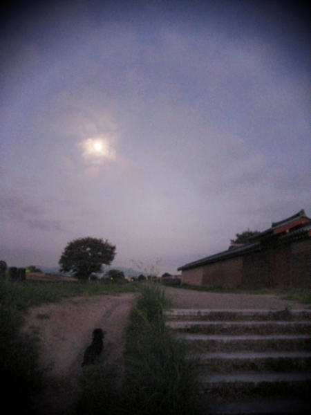 d0077603_11263680.jpg