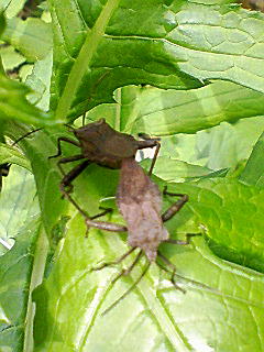 f0164503_17512551.jpg