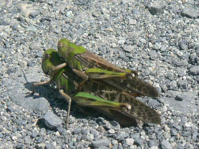f0164503_17521085.jpg