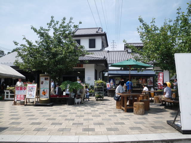 a0116205_16521012.jpg
