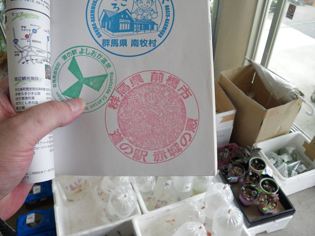 a0116205_16552193.jpg
