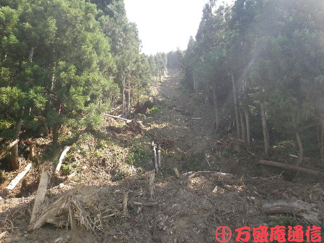 b0172209_23521388.jpg