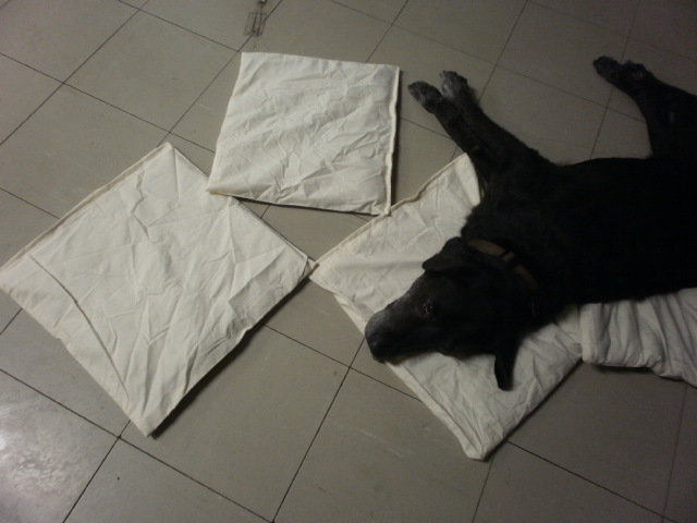 c0116610_2331254.jpg