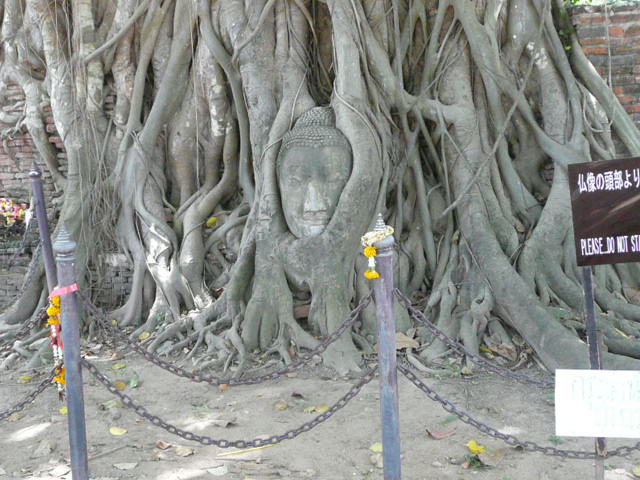f0233310_2039136.jpg