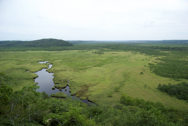 c0153411_750459.jpg