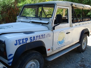 b0182718_1656270.jpg