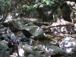 b0182718_1716176.jpg