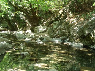 b0182718_176132.jpg