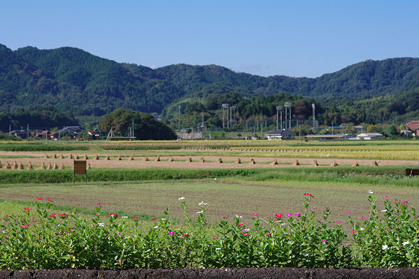 f0007926_10424872.jpg