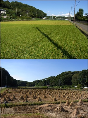 寺家