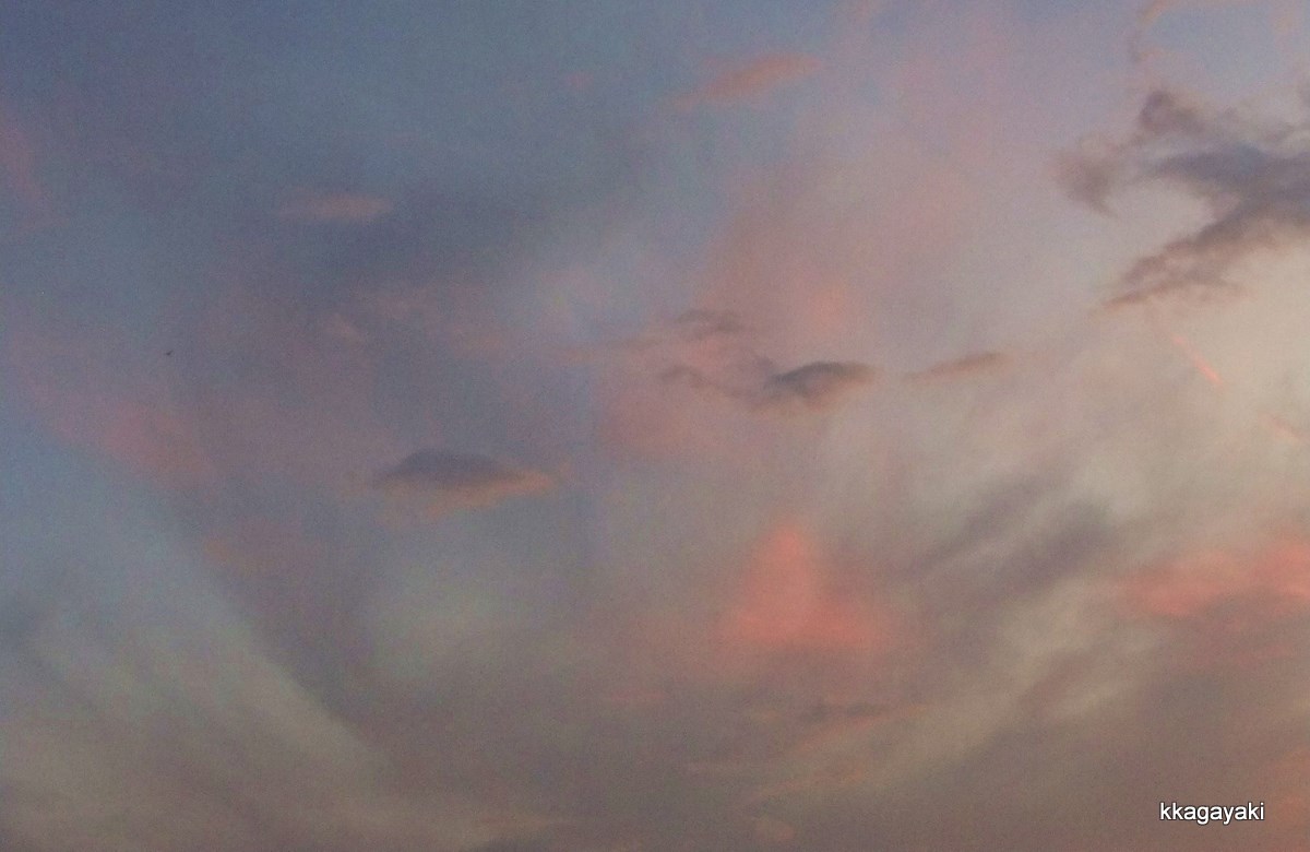 e0206242_8502657.jpg