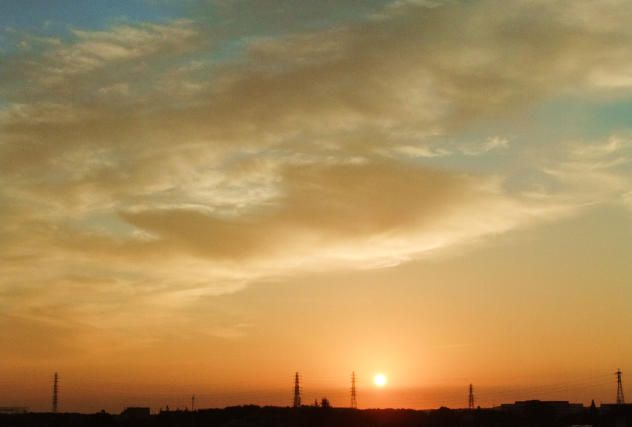 e0206242_854229.jpg