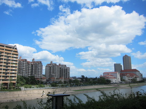 e0018143_0501837.jpg