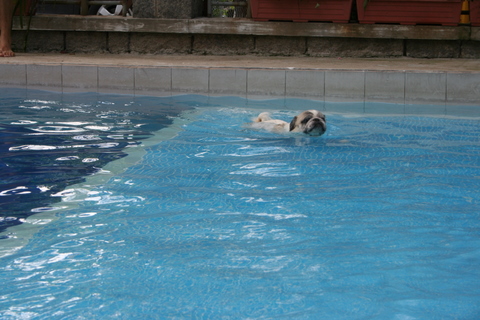 e0018143_101927.jpg