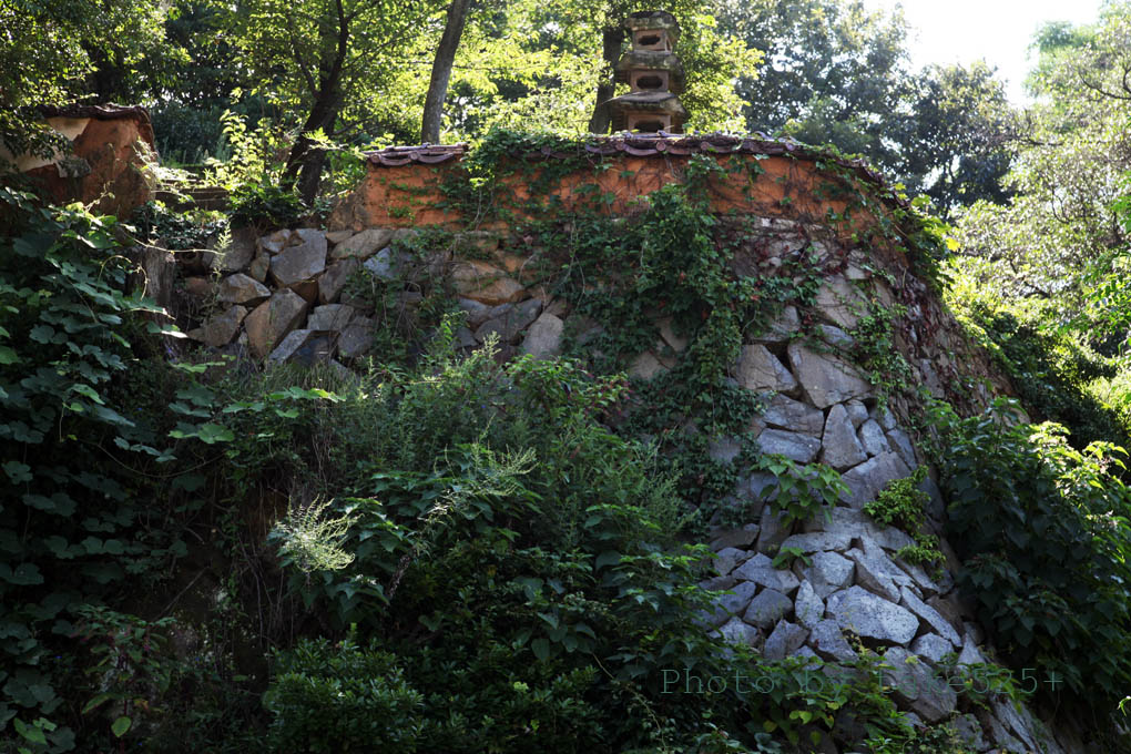 a0116946_6175568.jpg