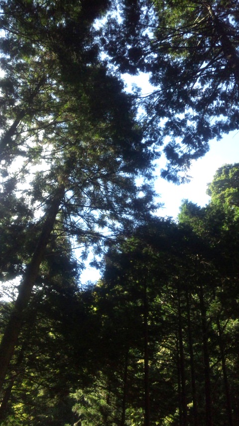 b0088646_818591.jpg