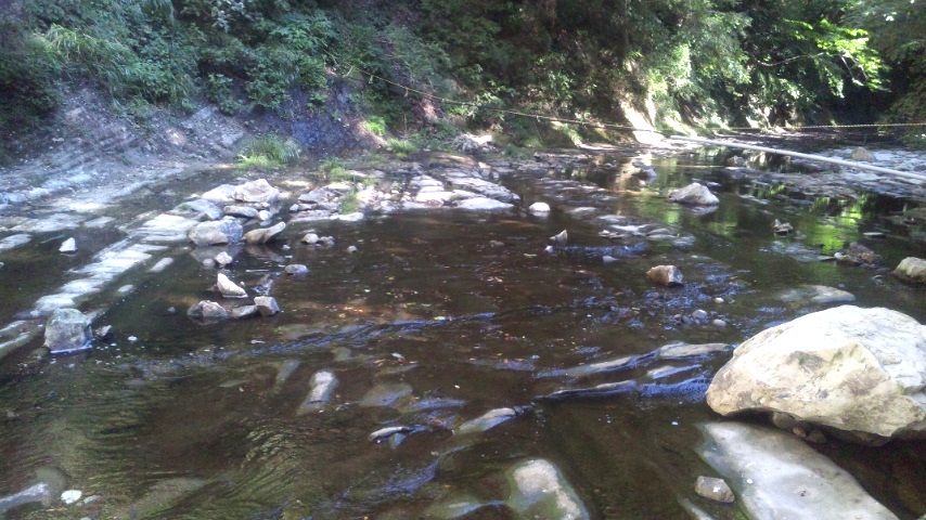 b0088646_8191045.jpg
