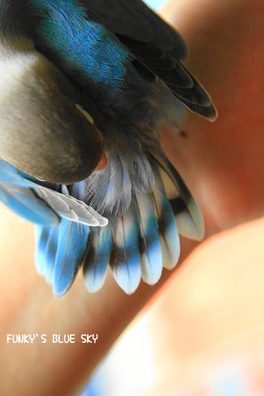 c0145250_13121871.jpg