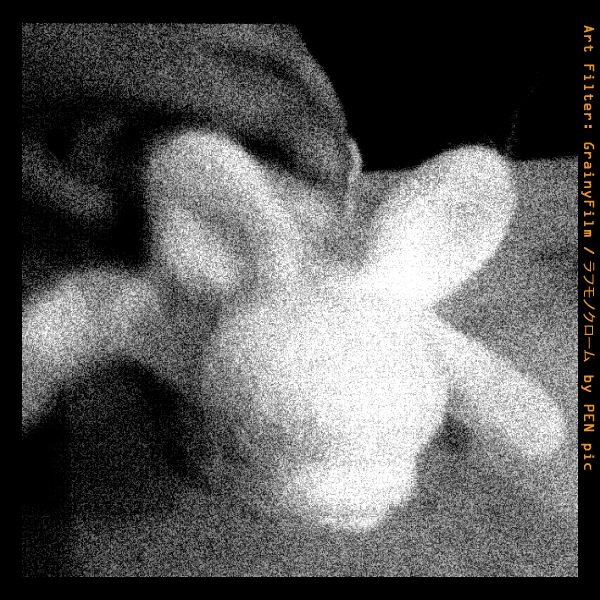 d0246751_20542020.jpg