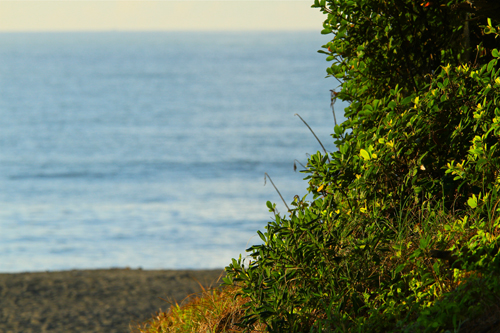 a0157069_852811.jpg