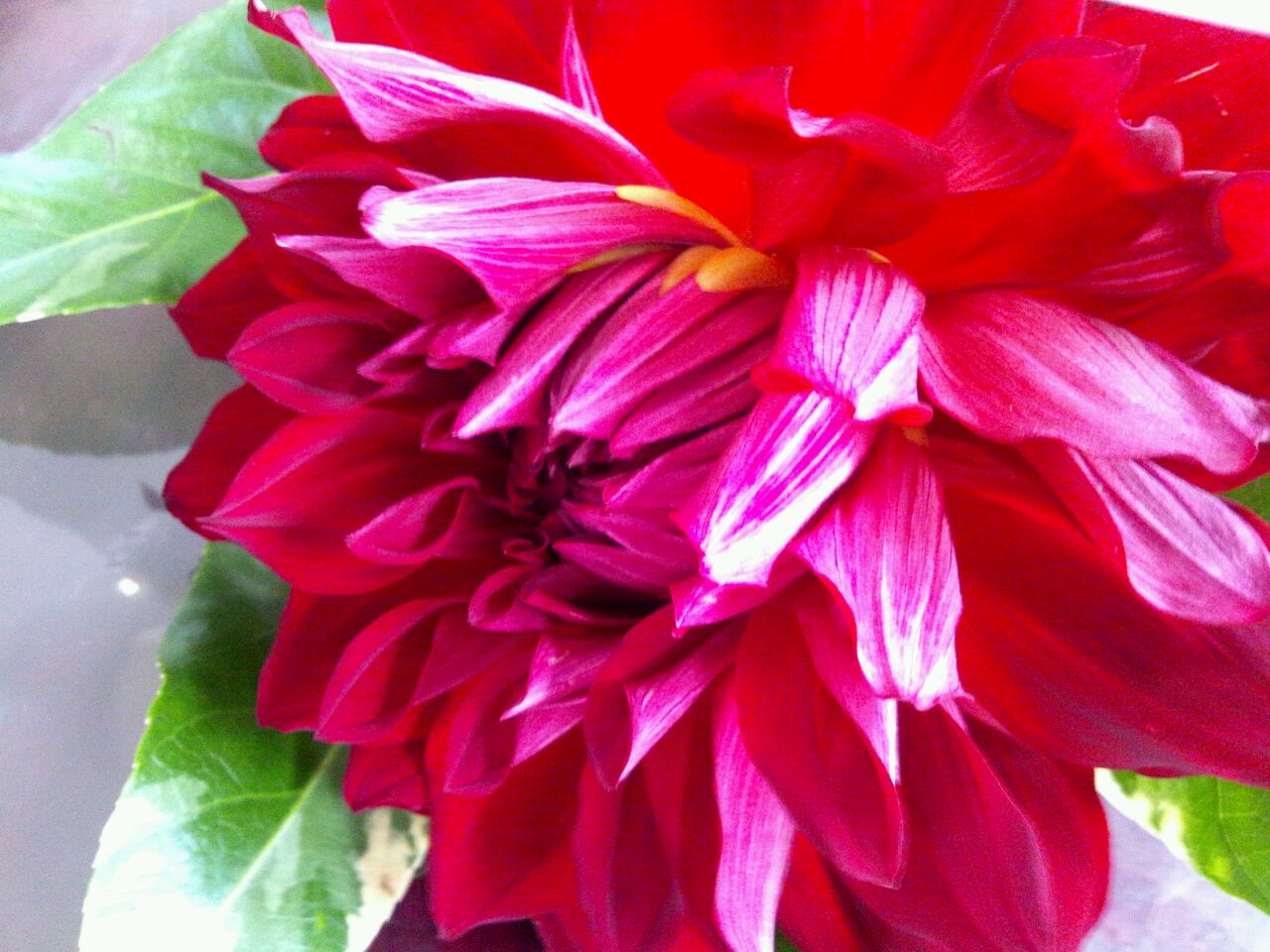 f0207969_3274142.jpg