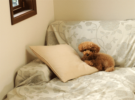 c0196673_7484113.gif