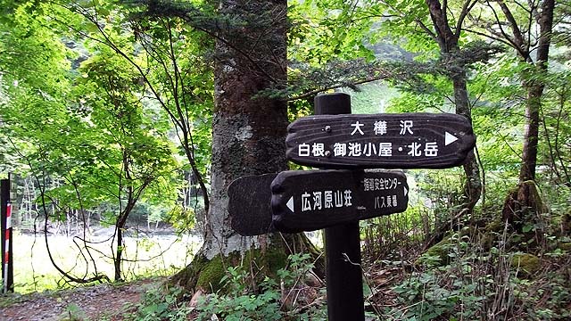 d0126573_415677.jpg