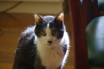 f0054677_912883.jpg