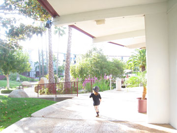 f0068883_16271131.jpg