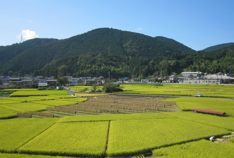 c0160488_20225425.jpg