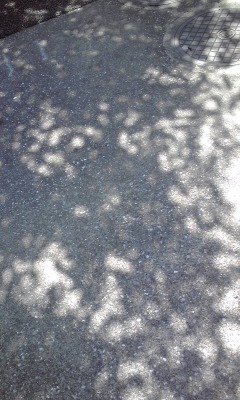 c0062796_1601376.jpg