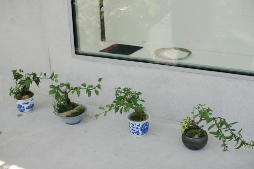 c0129498_0413872.jpg