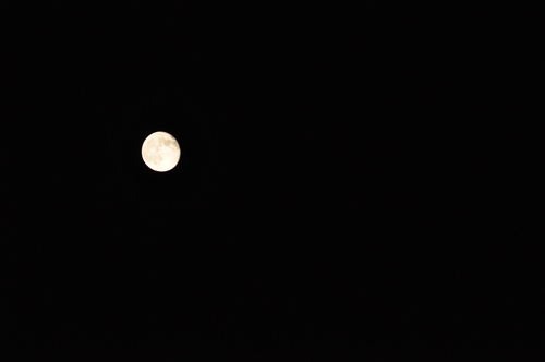 f0176499_1274489.jpg