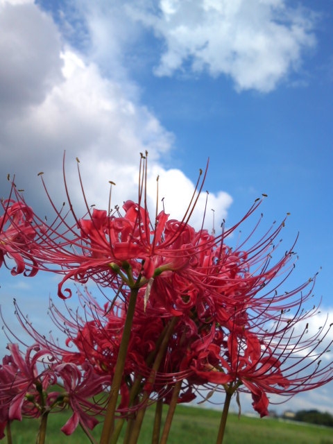 a0031000_23431336.jpg