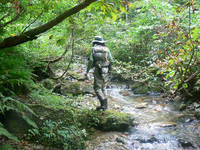 f0164503_2117927.jpg
