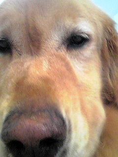 e0072606_14164078.jpg