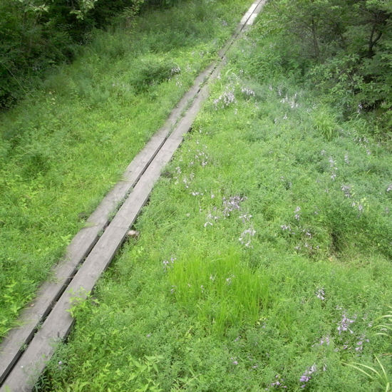 d0181907_20372457.jpg