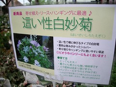 c0190010_2031487.jpg