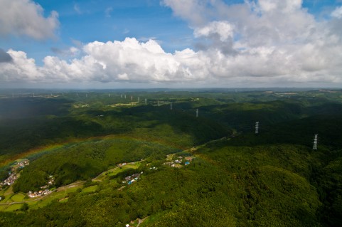 c0044617_1112547.jpg